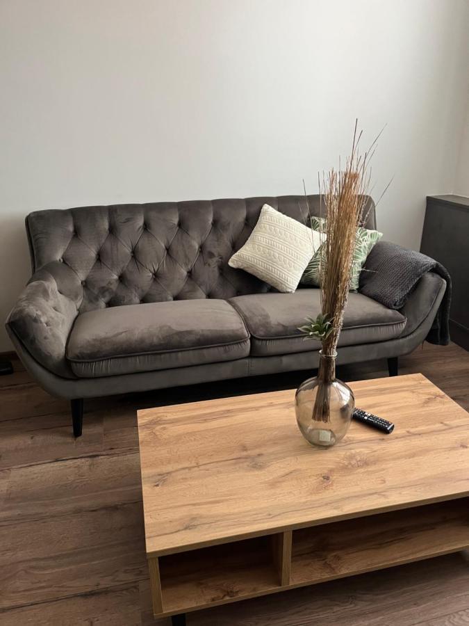 Luxusni Nove Zrekonstruovany Apartman 2Kk - 47M2 - Ostrava Centrum Eksteriør billede